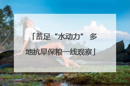 蓄足“水动力” 多地抗旱保粮一线观察