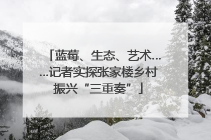 蓝莓、生态、艺术……记者实探张家楼乡村振兴“三重奏”