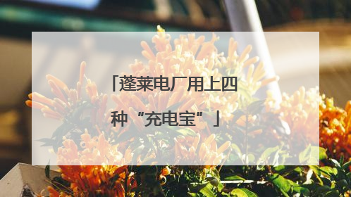 蓬莱电厂用上四种“充电宝”