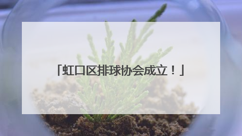 虹口区排球协会成立！