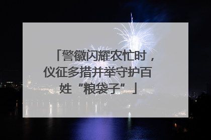 警徽闪耀农忙时，仪征多措并举守护百姓“粮袋子”