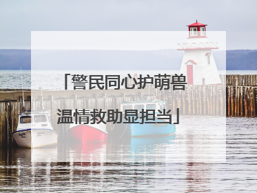 警民同心护萌兽 温情救助显担当