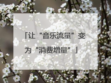让“音乐流量”变为“消费增量”