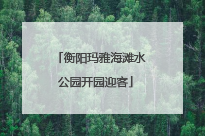 衡阳玛雅海滩水公园开园迎客