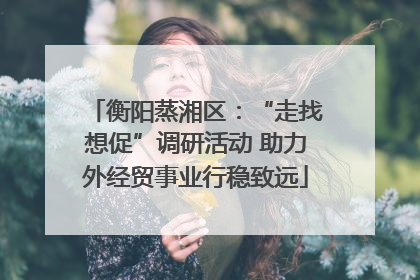 衡阳蒸湘区：“走找想促”调研活动 助力外经贸事业行稳致远