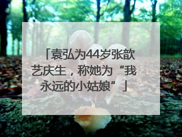 袁弘为44岁张歆艺庆生，称她为“我永远的小姑娘”