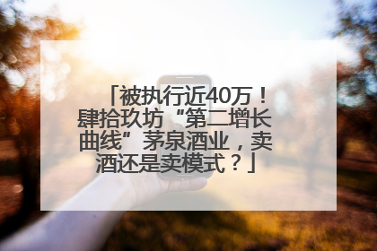 被执行近40万！肆拾玖坊“第二增长曲线”茅泉酒业，卖酒还是卖模式？