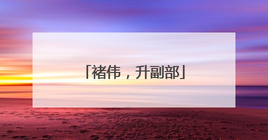 褚伟，升副部