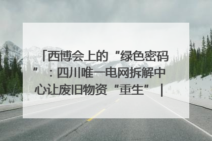 西博会上的“绿色密码”：四川唯一电网拆解中心让废旧物资“重生”｜西博寻“新”记