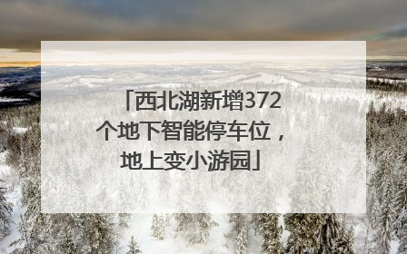 西北湖新增372个地下智能停车位，地上变小游园