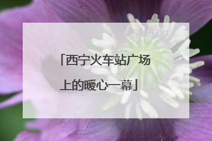 西宁火车站广场上的暖心一幕