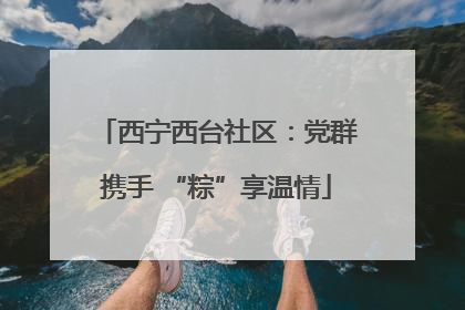 西宁西台社区：党群携手 “粽”享温情