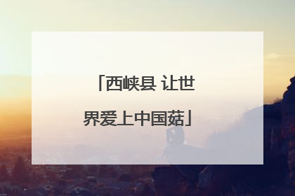 西峡县 让世界爱上中国菇