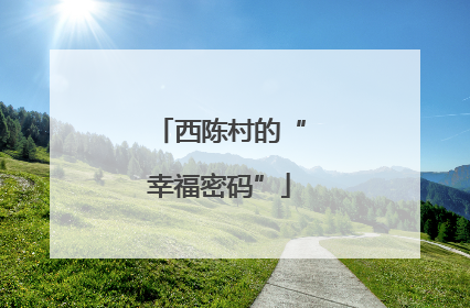 西陈村的“幸福密码”