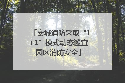 襄城消防采取“1+1”模式动态巡查园区消防安全