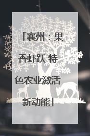 襄州：果香虾跃 特色农业激活新动能