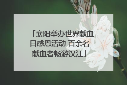 襄阳举办世界献血日感恩活动 百余名献血者畅游汉江