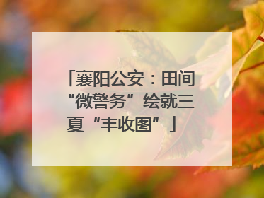 襄阳公安：田间“微警务”绘就三夏“丰收图”