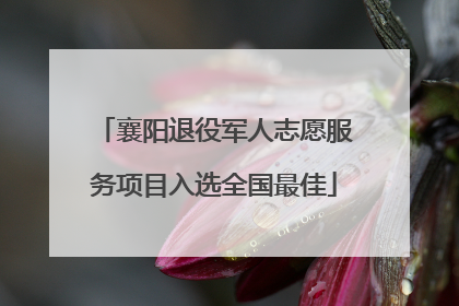 襄阳退役军人志愿服务项目入选全国最佳