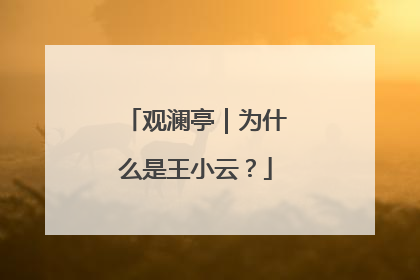 观澜亭｜为什么是王小云？