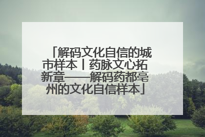解码文化自信的城市样本丨药脉文心拓新章——解码药都亳州的文化自信样本