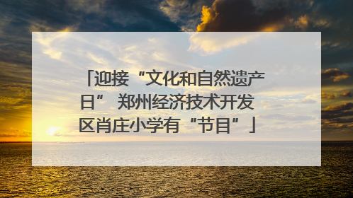 迎接“文化和自然遗产日” 郑州经济技术开发区肖庄小学有“节目”