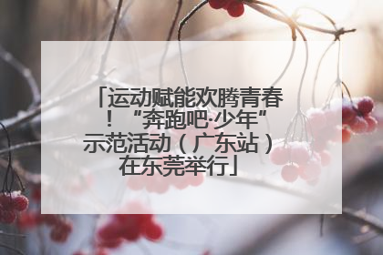 运动赋能欢腾青春！“奔跑吧·少年”示范活动（广东站）在东莞举行