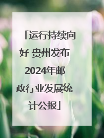 运行持续向好 贵州发布2024年邮政行业发展统计公报