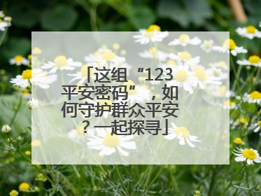 这组“123平安密码”，如何守护群众平安？一起探寻