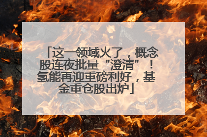 这一领域火了，概念股连夜批量“澄清”！氢能再迎重磅利好，基金重仓股出炉