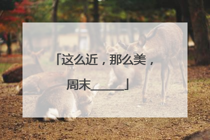 这么近，那么美，周末______