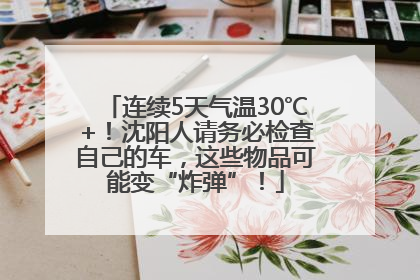 连续5天气温30℃+！沈阳人请务必检查自己的车，这些物品可能变“炸弹”！
