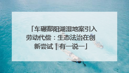 车碾鄱阳湖湿地案引入劳动代偿：生态法治在创新尝试｜有一说一