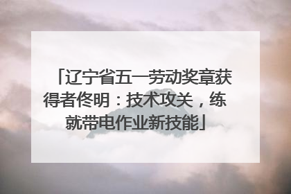 辽宁省五一劳动奖章获得者佟明：技术攻关，练就带电作业新技能