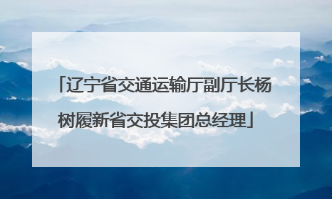 辽宁省交通运输厅副厅长杨树履新省交投集团总经理