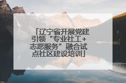 辽宁省开展党建引领“专业社工+志愿服务”融合试点社区建设培训