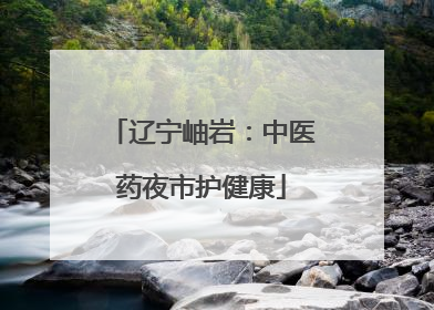 辽宁岫岩：中医药夜市护健康
