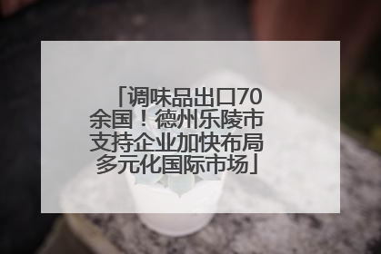 调味品出口70余国！德州乐陵市支持企业加快布局多元化国际市场