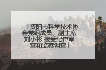资阳市科学技术协会党组成员、副主席刘小彬 接受纪律审查和监察调查