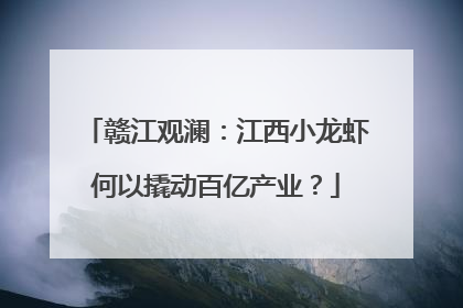 赣江观澜：江西小龙虾何以撬动百亿产业？
