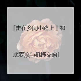 走在乡间小路上丨祁底麦浪与机杼交响