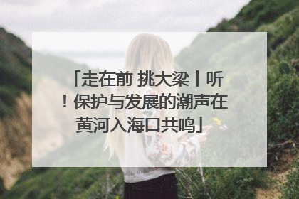 走在前 挑大梁丨听！保护与发展的潮声在黄河入海口共鸣