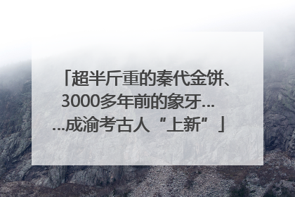 超半斤重的秦代金饼、3000多年前的象牙……成渝考古人“上新”