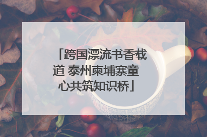 跨国漂流书香载道 泰州柬埔寨童心共筑知识桥