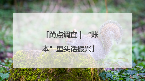 蹲点调查｜“账本”里头话振兴