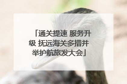 通关提速 服务升级 抚远海关多措并举护航旅发大会