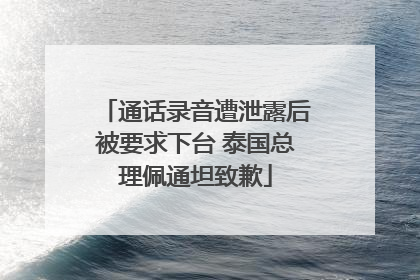 通话录音遭泄露后被要求下台 泰国总理佩通坦致歉