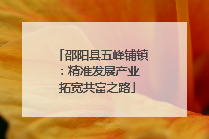 邵阳县五峰铺镇：精准发展产业 拓宽共富之路