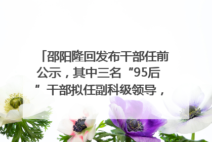 邵阳隆回发布干部任前公示，其中三名“95后”干部拟任副科级领导，均系硕士选调生