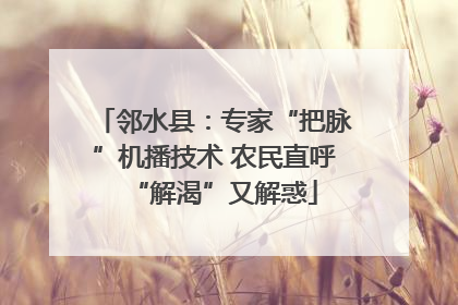邻水县：专家“把脉”机播技术 农民直呼“解渴”又解惑